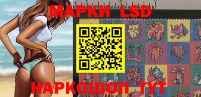 амф Донской