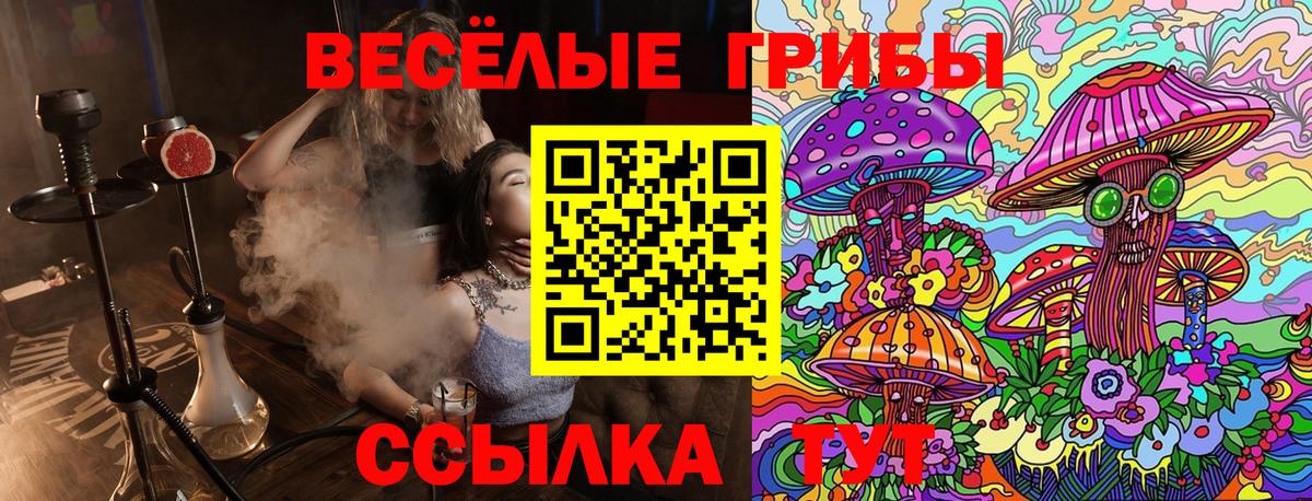 Галлюциногенные грибы GOLDEN TEACHER Минеральные Воды
