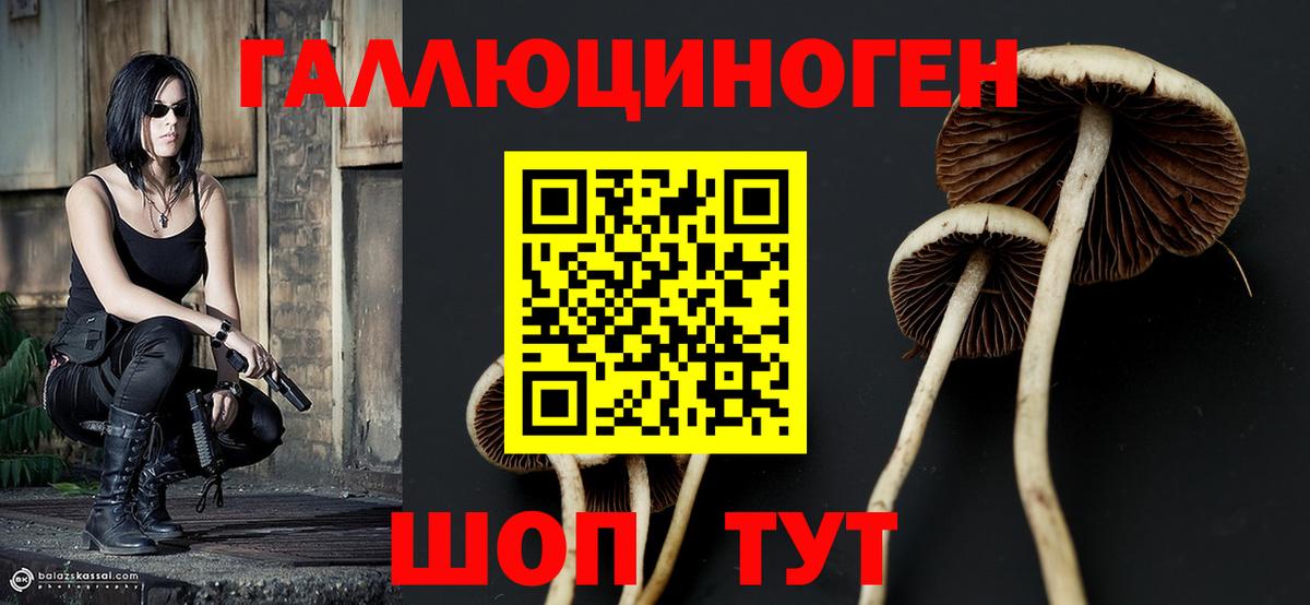 что такое наркотик  Вход с VPN  Минеральные Воды  Псилоцибиновые грибы прущие грибы 